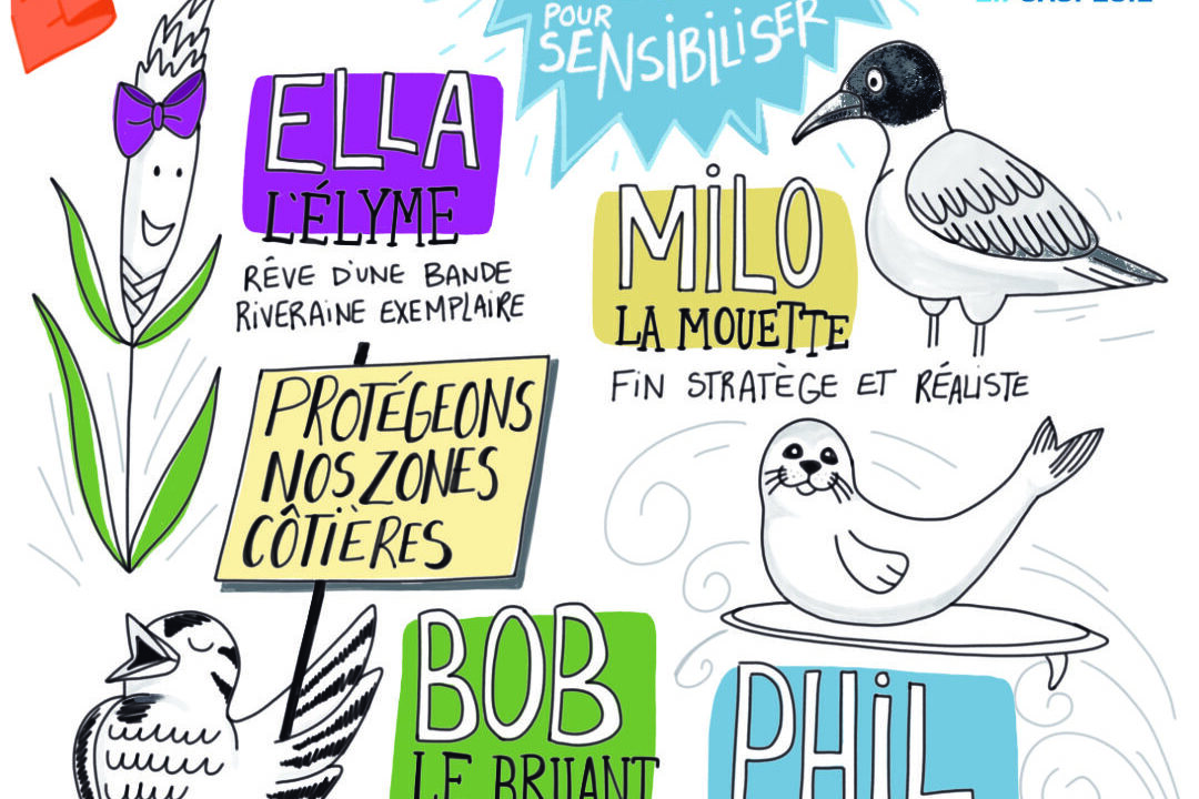 Post Facebook_Couleurs_Fr