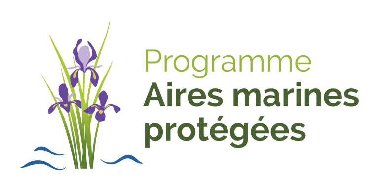 ProgrammeAMP